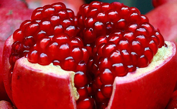 Ruby red pomegranate 